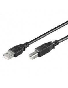 Ewent Cable Usb 2.0  "A" M...