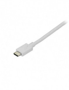 Cabo DisplayPort Startech...