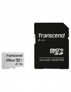 256GB microSD w/adapter...