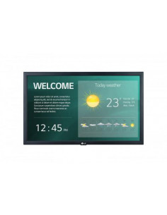 Monitor LCD LG 22SM3G-B...