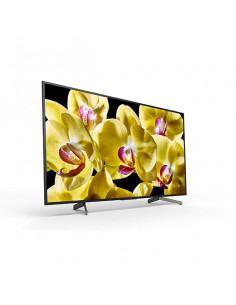 Sony Bravia Profissional...